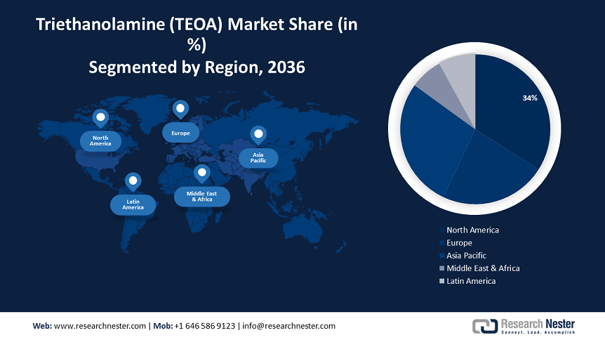 Triethanolamine Market  size